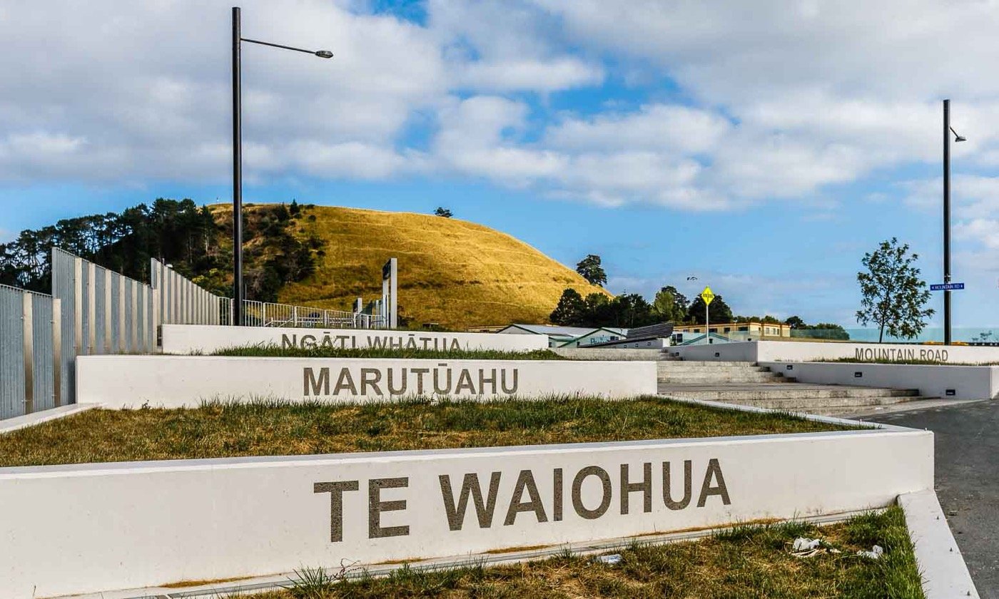 Maungarei Mount Wellington cone 2014