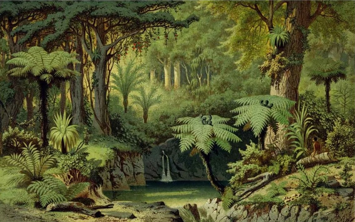 Carl Frank Fischer, forest in the Papakura district in the 1850s