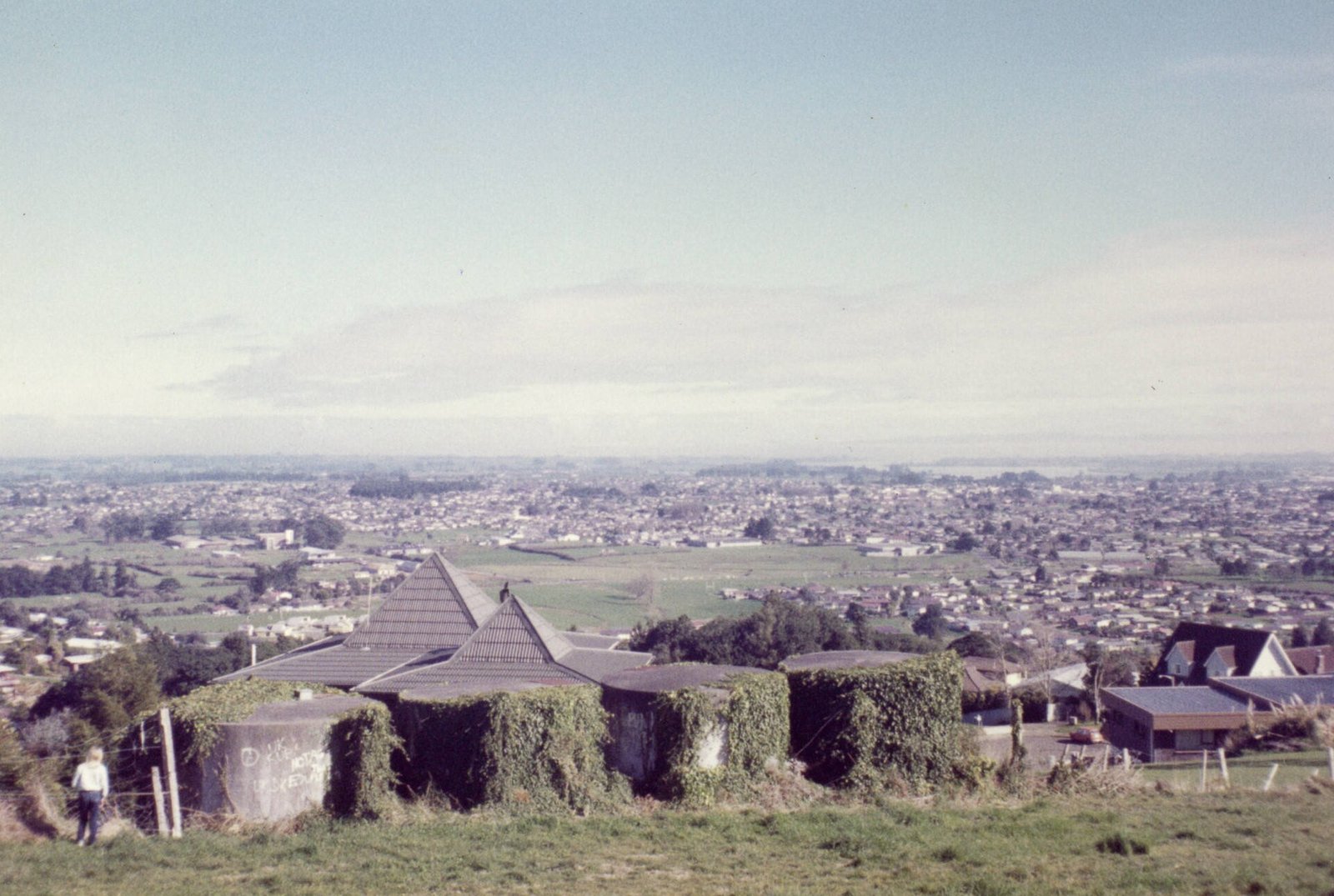 View from Pukekiwiriki 1984